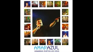 20. Libertad - Amar Azul - Grandes éxitos (en vivo) (2007)