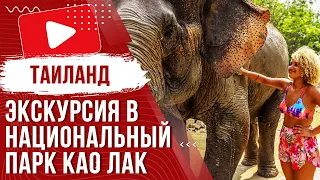 🌴 Экскурсия с Пхукета в национальный парк Као Лак с катанием на слонах + Рафтинг 2023