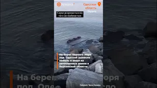 🟠На берег Черного моря под Одессой вынесло мебель и вещи из затопленных домов в Херсонской области