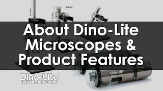 About Dino-Lite Microscopes & Product Features