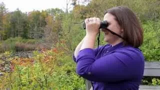 How to get crystal clear focus with your binoculars