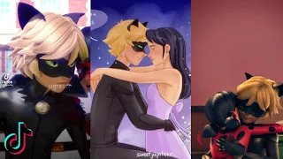 Miraculous ladybug tiktoks that made Adrien stalk marinette.