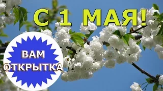 С 1 мая! Праздником Весны и Труда!