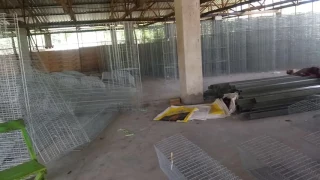 LAYERS CHICKEN BATTERY CAGE INSTALLATION