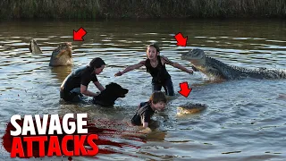 The Most SAVAGE Alligator Attacks MARATHON!