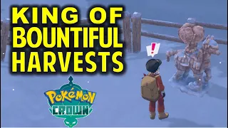 How to Look into the King of Bountiful Harvests | Pokemon Sword and Shield: The Crown Tundra