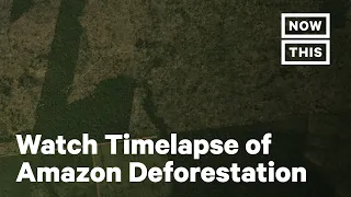 Three Years of Deforestation in the Amazon | NowThis Earth