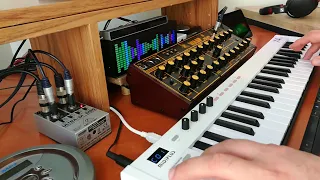 Testing Behringer WASP synth - Ambient Electronic Session | The immensity of blue - VICHERVAL