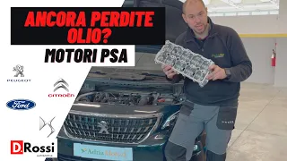 PERDITA OLIO MOTORE ? DA DOVE E PERCHE ? ANALIZZIAMO IL PROBLEMA