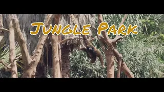 Jungle Park Tenerife Cinematic