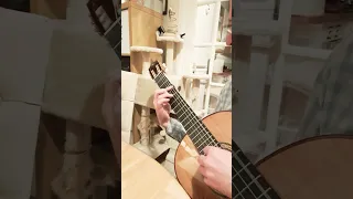 Slavonic Dance 72 2 Dvorak - Guitar