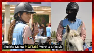 Dubai Princess Sheikha Mahra Own 11 Horses - See How Mahra Ride Her Millions Worth Horses