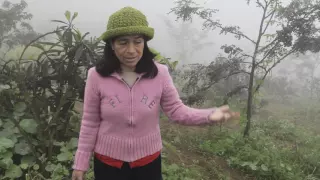 Atrapar la niebla para tener agua en el desierto de Lima