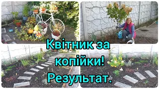 КВІТНИК з НУЛЯ за КОПІЙКИ.Результат мені дуже подобається!#квіти#квітник#квітникзнулязакопійки#сад