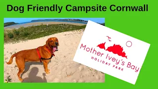Dog Friendly Campsite in Cornwall, Padstow, Mother Ivey's Bay Holiday Park
