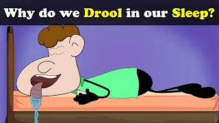 Why do we Drool in our Sleep? + more videos | #aumsum #kids #science #education #children