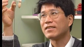 Toy models, Tadashi Tokieda | LMS Popular Lectures 2008