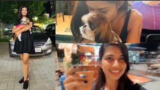 Fur-bulous grooming,Bihari food,TEA at airport-a paw-fect day #PawsAndRelax #AirportChai #viralvideo