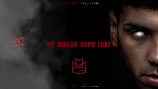 22.Anuel AA - Nunca Sapo (Og) | #Freeanuelthealbum