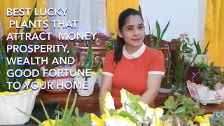 BEST LUCKY PLANTS THAT ATTRACT, MONEY, PROSPERITY, WEALTH AND GOOD FORTUNE TO YOUR HOME