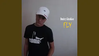 Fly