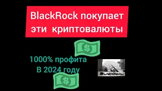 BlackRock ПОКУПАЕТ ЭТИ АЛЬТКОИНЫ! ИКСЫ В 2024 ОТ БЛЭК РОК! Триллионы долларов от BlackRock в деле!