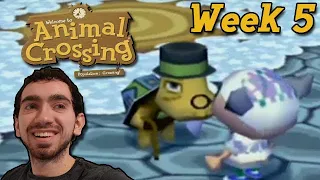 Animal Crossing Live - Week 5: Reaping Tortimer's Rewards