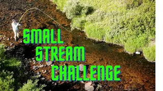 SMALL STREAM CHALLENGE (fly fishing)