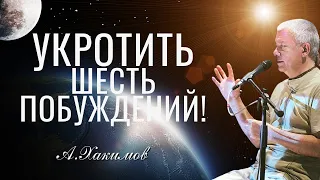 Укротить шесть побуждений чтобы увидеть душу! Александр Хакимов.