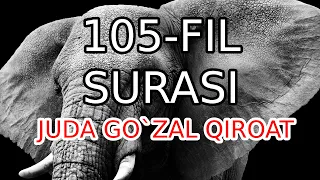 105 Fil surasi o`zbek tilida tarjimasi | tasirli qiroat