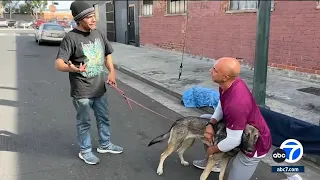 Veterinarian volunteers on LA's Skid Row to care for animals in need