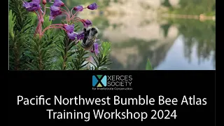 Pacific Northwest Bumble Bee Atlas Training Workshop