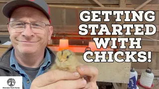 Ultimate Guide: Setting Up the Perfect Brooder for Baby Chicks