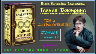 "ТАЙНАЯ ДОКТРИНА". Том 2 - АНТРОПОГЕНЕЗИС. Станца III, шлока 12 (автор Е.П. Блаватская)_аудиокнига