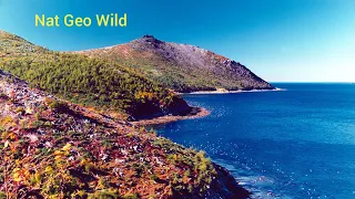 Nat Geo Wild.Дикое море России. Охотское море.