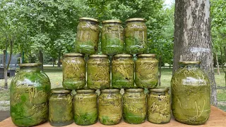 The simplest way to preserve grape leaves fresh for 12 months for the winter