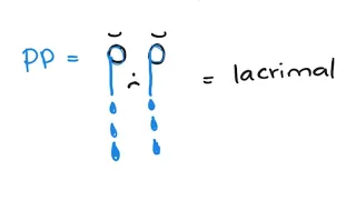 Mnemonic for Pterygopalatine Ganglion & Lacrimal Gland | Head and Neck Anatomy Mnemonics