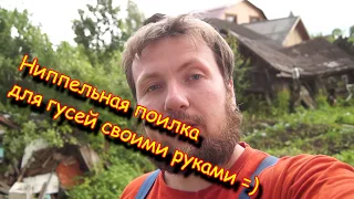 Ниппельная поилка для гусей своими руками