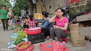 Harvesting melon pear  going to the market to sell, to earn extra money to buy supplements.