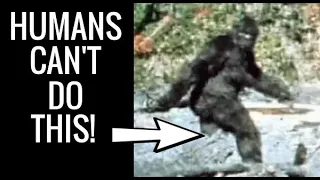 The IMPOSSIBLE Walk of the Patterson Gimlin Bigfoot Film ( a Documentary )