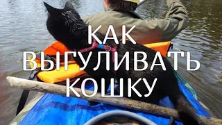 Как выгуливать кошку. Цифра: походы, пещеры, сплавы