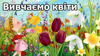 КВІТИ. Вчимо назви квітів українською мовою Study flowers and their colors, in Ukrainian