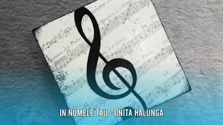 IN NUMELE TAU ( ANDE TO ANAU ) - Onita Halunga