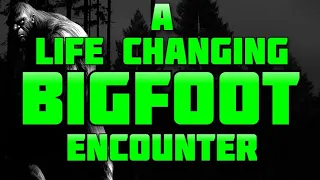 A LIFE CHANGING BIGFOOT ENCOUNTER