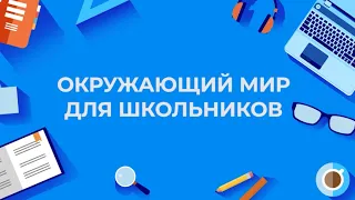 Илья Кожухарь//Окружающий мир для школьников с Павлом Карповым