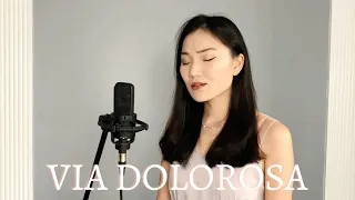 Via Dolorosa (cover || ft. Eric Guan)