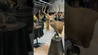 Kansas Taxidermy competition 2024