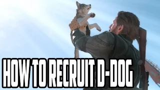 Metal Gear Solid 5 - How and Where To Find D-Dog - Most Adorable Buddy