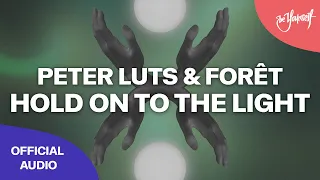 Peter Luts & Forêt - Hold On To The Light [@Biganddirtyrecords]