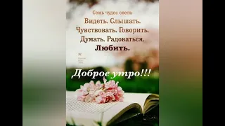 🐰 Доброе утро приносит добрый день!